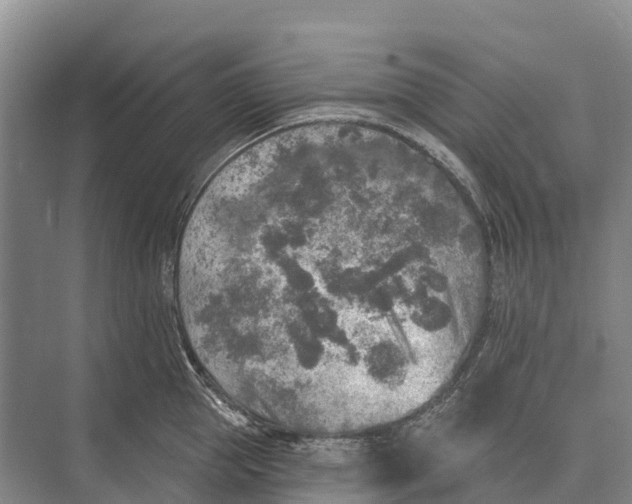 X0000071960953200608041616