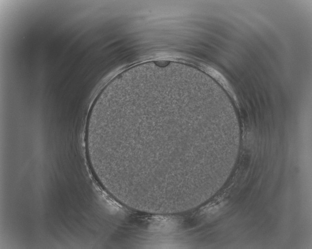 X0000071960954200608041616