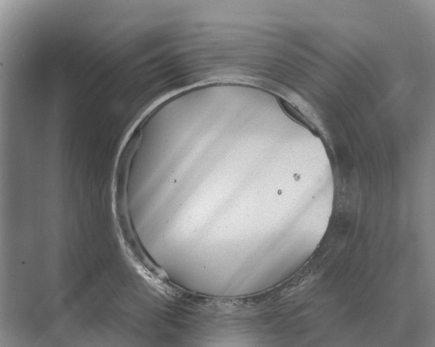 X0000071960955200608041616