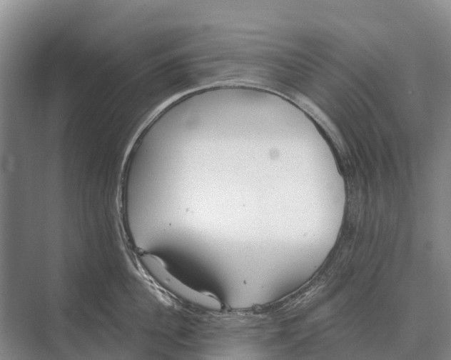 X0000071960956200608041616