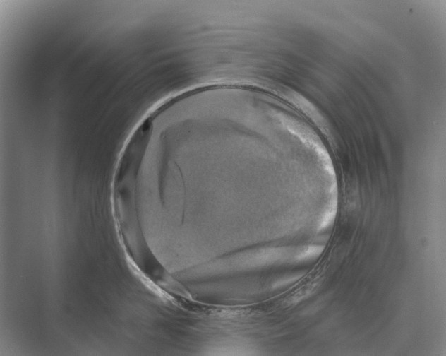 X0000071960958200608041616