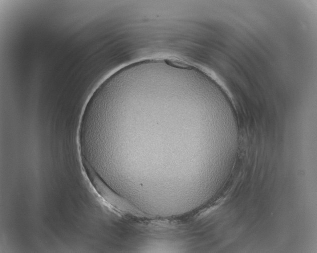 X0000071960959200608041616