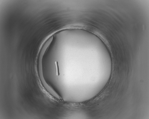 X0000071960960200608041616