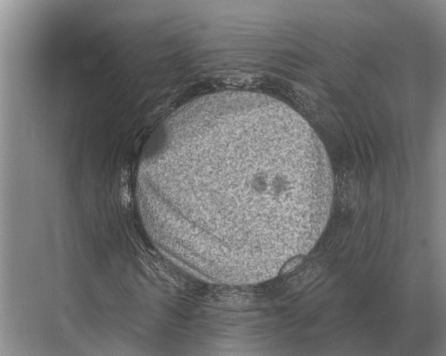 X0000071960962200608041615