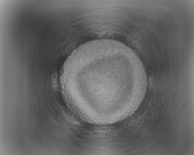 X0000071960963200608041615