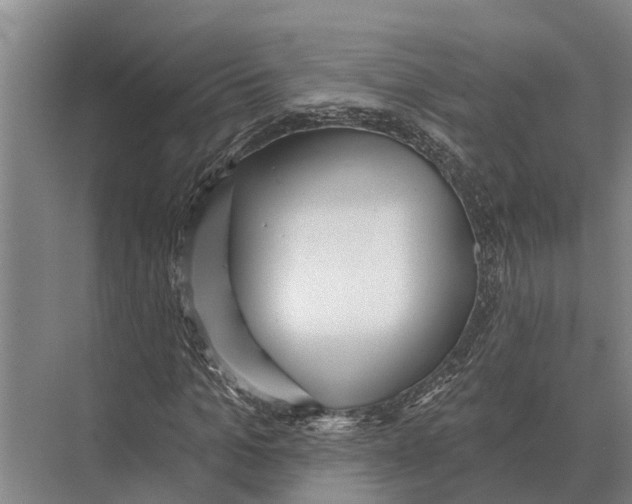 X0000071960965200608041615