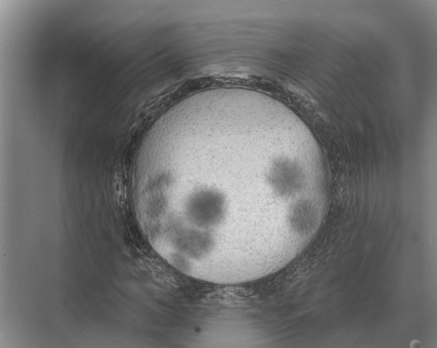 X0000071960966200608041615