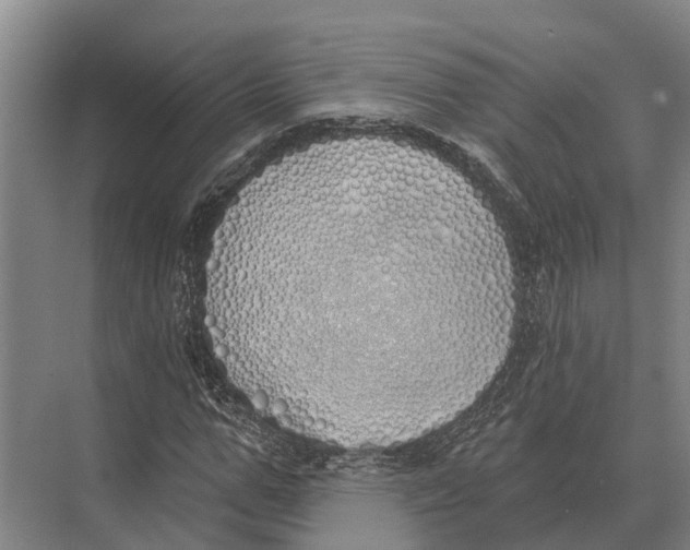 X0000071960967200608041615