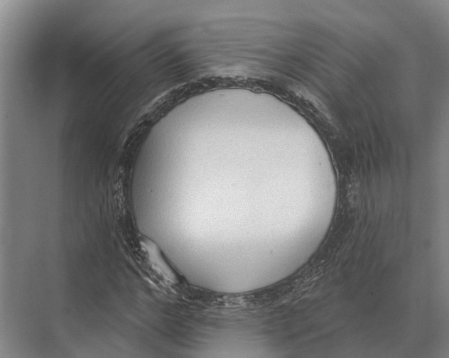 X0000071960968200608041615