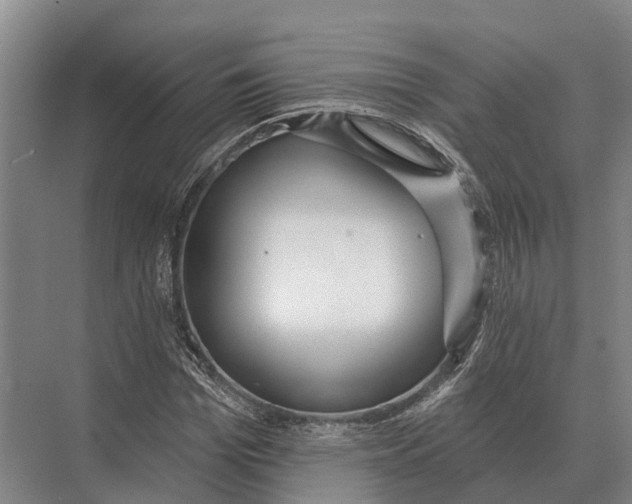 X0000071960969200608041615