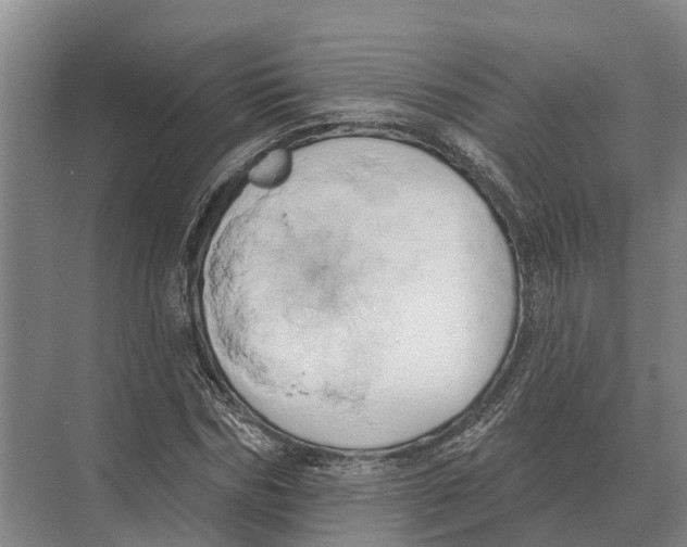 X0000071960970200608041615