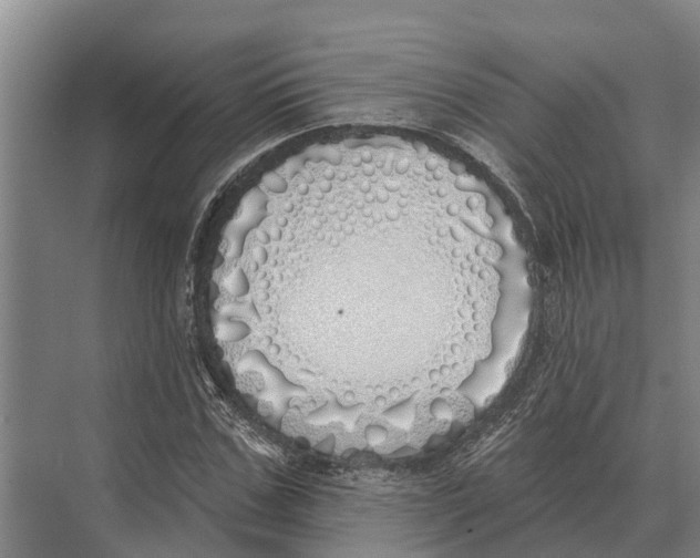 X0000071960971200608041615