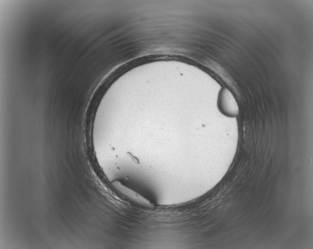 X0000071960972200608041615