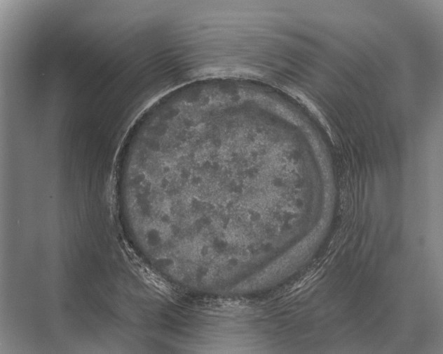 X0000071960975200608041615