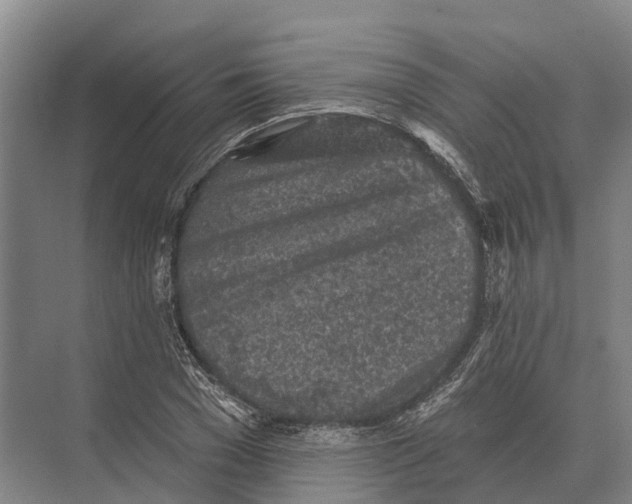 X0000071960977200608041615