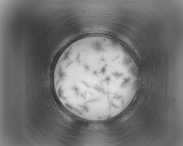 X0000071960978200608041615