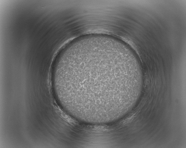 X0000071960979200608041615