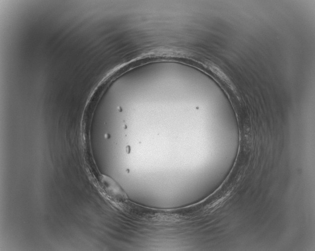 X0000071960981200608041615