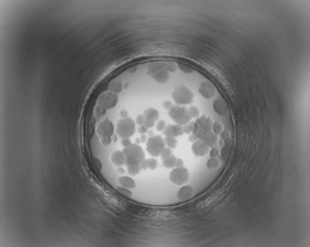 X0000071960982200608041615