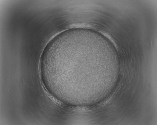 X0000071960983200608041615