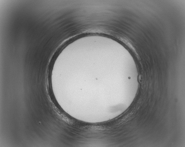 X0000071960984200608041615