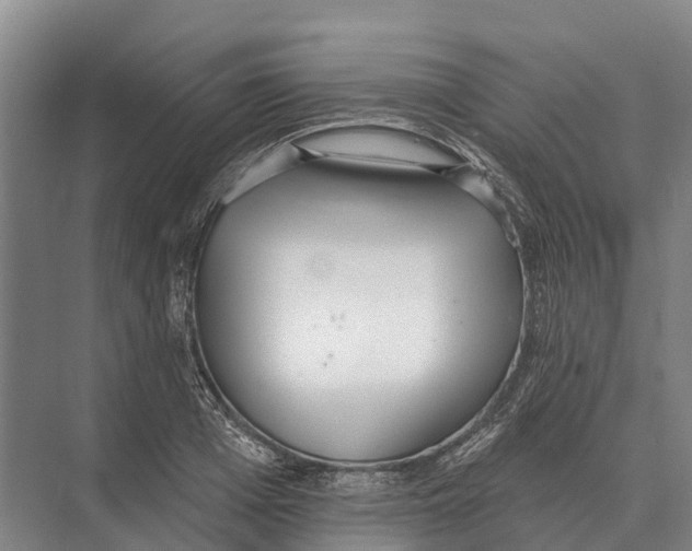 X0000071960985200608041615