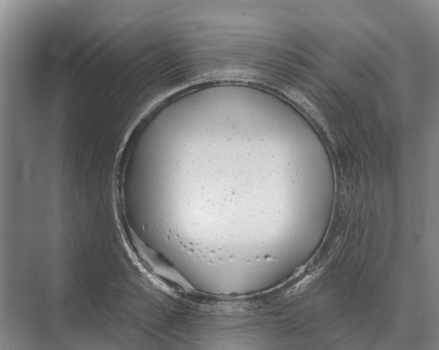 X0000071960989200608041614