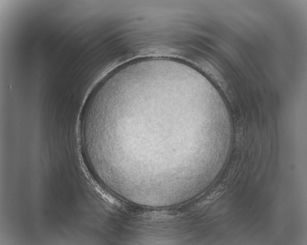 X0000071960990200608041614