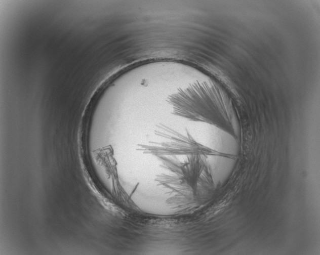 X0000071960991200608041614