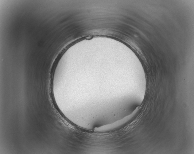 X0000071960992200608041614