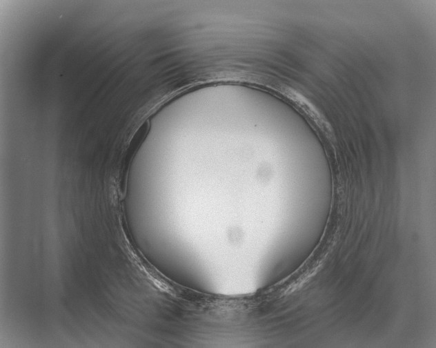 X0000071960993200608041614