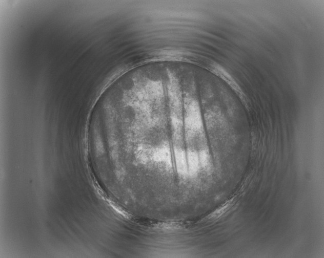 X0000071960994200608041614