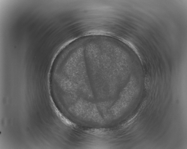 X0000071960995200608041614