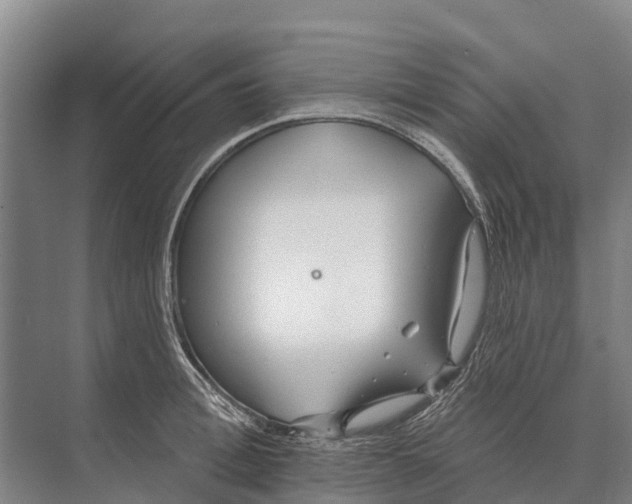 X0000071960996200608041614