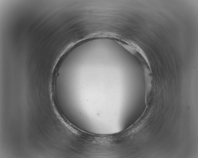 X0000071960997200608041614