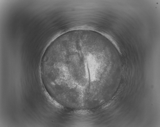 X0000071960998200608041614