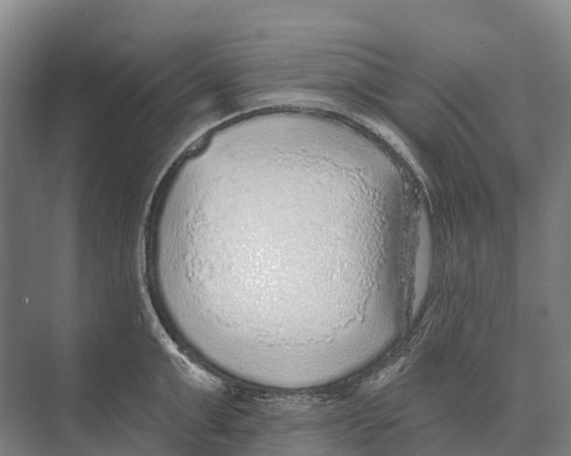 X0000071960999200608041614