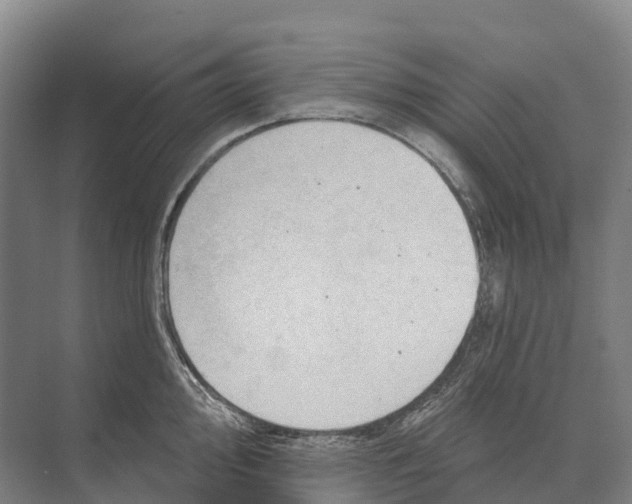 X0000071961000200608041614