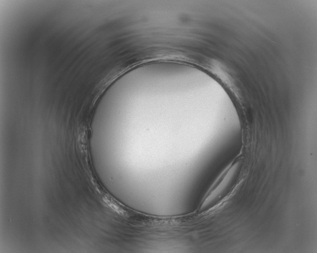 X0000071961001200608041614