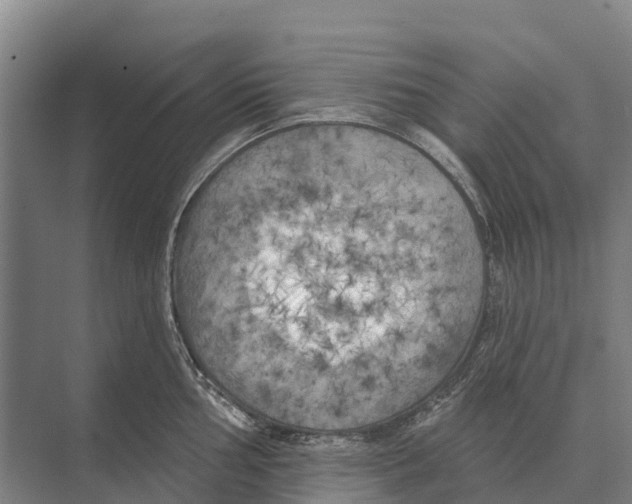 X0000071961002200608041614