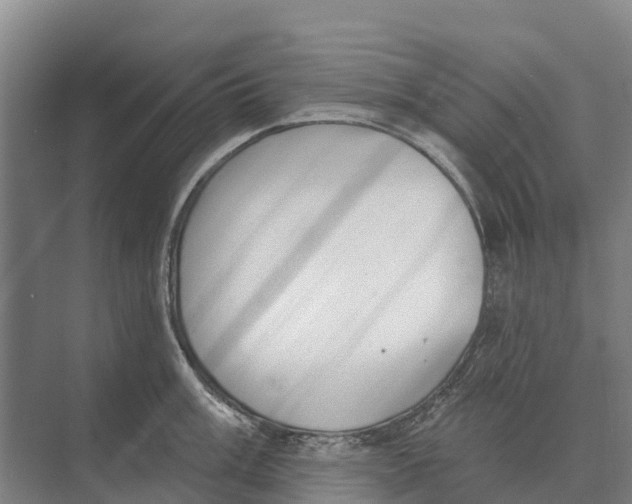 X0000071961003200608041614