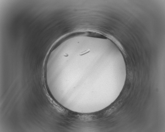 X0000071961004200608041614