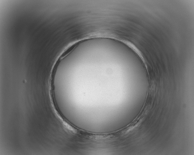 X0000071961005200608041614