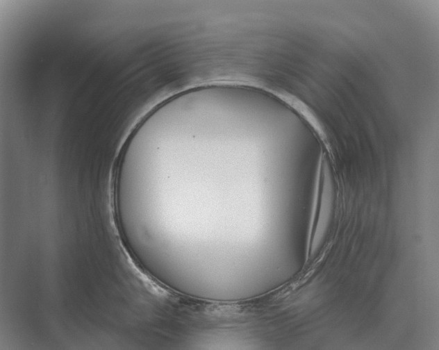 X0000071961006200608041614