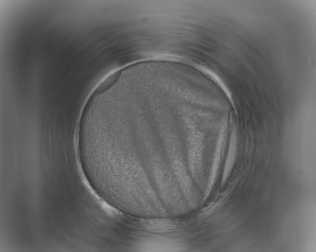 X0000071961007200608041614