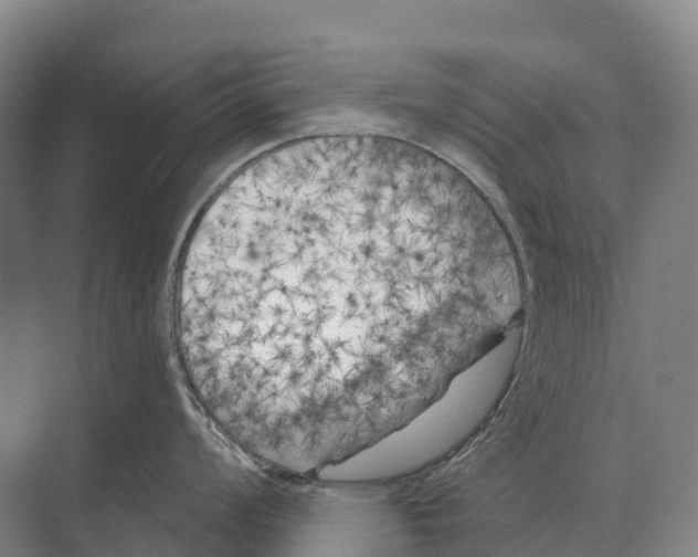 X0000071961008200608041614