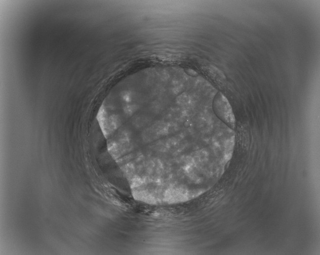 X0000071961009200608041613