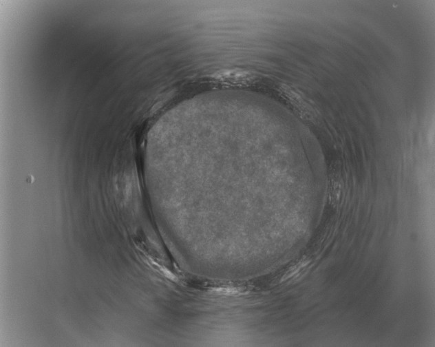 X0000071961010200608041613