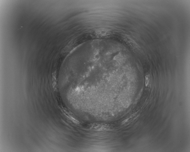 X0000071961011200608041613