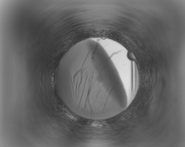 X0000071961013200608041613